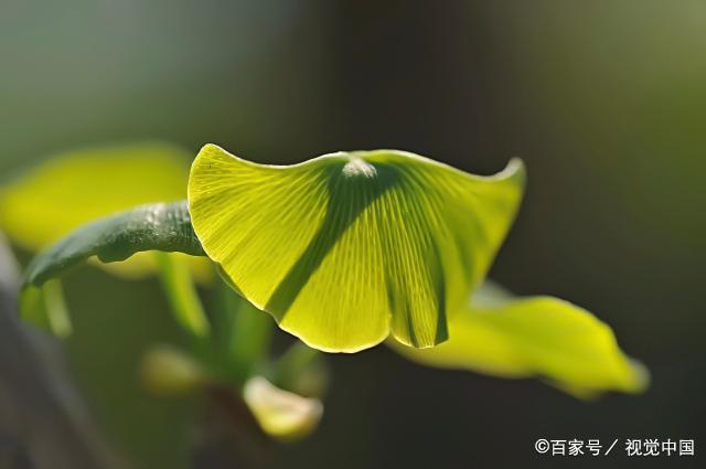 人老了，有两种家庭，别去串门，很容易惹祸上身