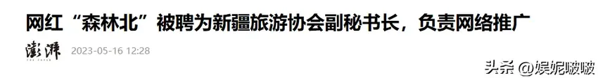 新疆文旅全面终止与森林北合作，炒作计划泡汤？