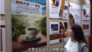 全球连线｜“洋记者”看美丽中国：茶乡普洱咖啡飘香——一杯咖啡背后的中外文化交流