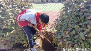 东明县大屯镇夏营小学开展植树节植树活动