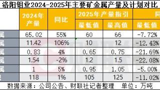 2024年净利预计同比增长超五成 洛阳钼业创上市来最好业绩|财报解读