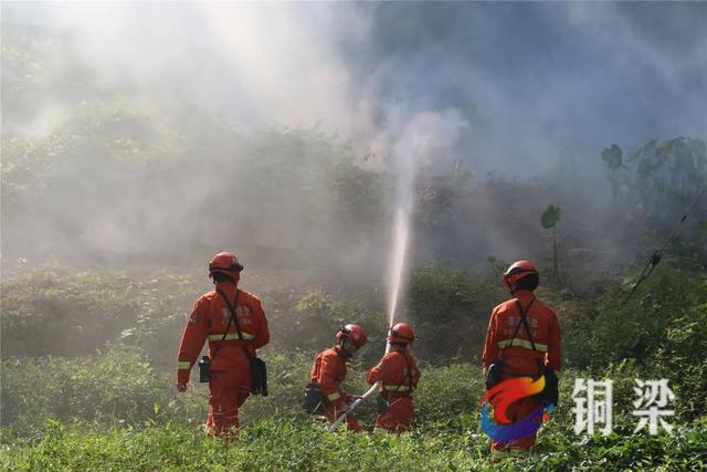 重庆高新区多措并举筑牢森林“防火墙”森林防火工作