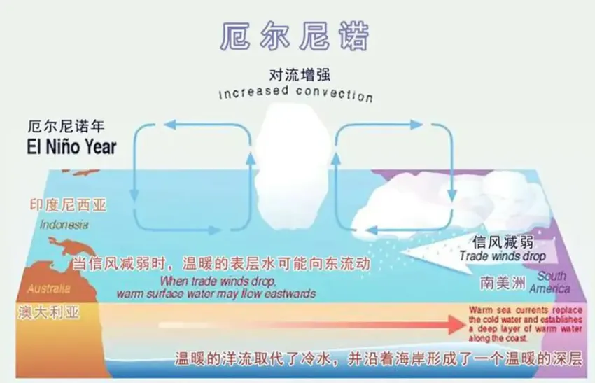 不是一家了，WMO再次警告！拉尼娜恐将回归，2024年是不平凡一年