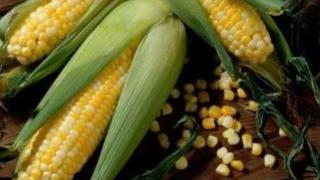 古代逢年过节或宴请客人为什么不能将玉米摆出来