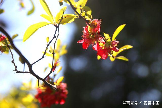 女人，人生路上，建议你这样活