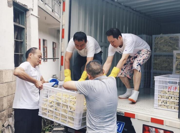 宣城绩溪：搭建“小黄瓜”出山“直通车”