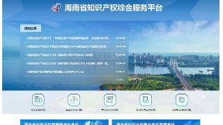 海南省知识产权质押融资信息库正式开放