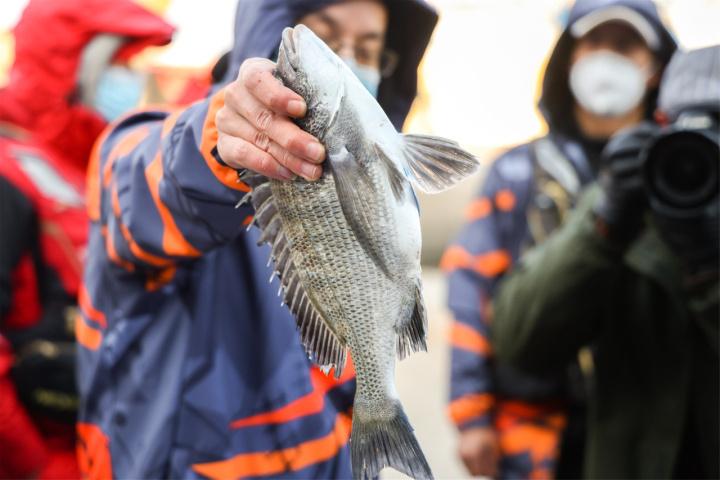 “海钓天堂”为海钓立法，深意几何？