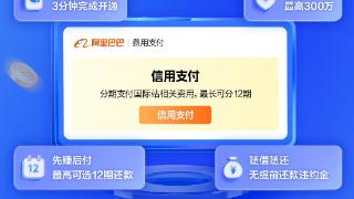 让跨境商家先赚后付资金无忧 阿里巴巴国际站联合网商银行推出“信用支付”