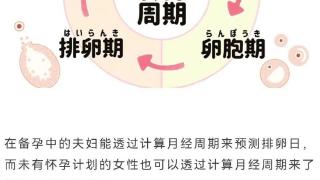 女性「好朋友」周期不规则会是卵巢生病吗？会导致不孕吗？