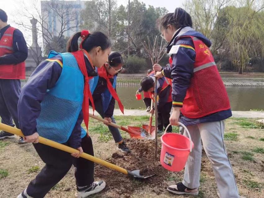 南京江北新区沿江街道开展植树活动 播种“团结之苗”