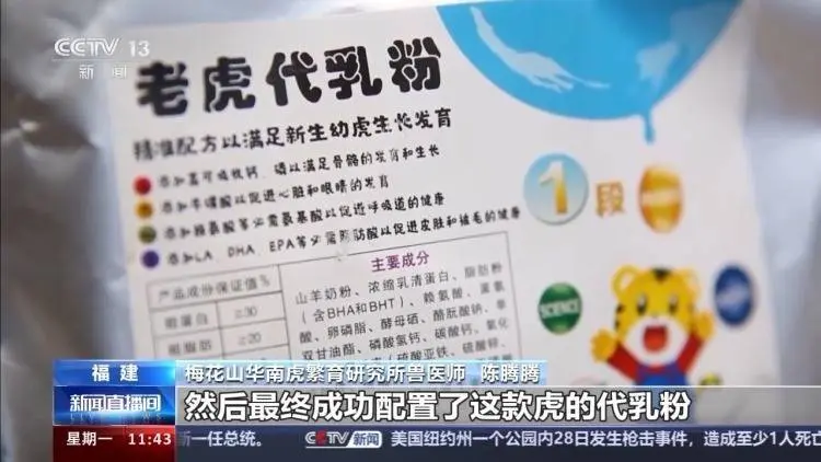 没有母乳 华南虎幼崽喝什么？“老虎超级配方奶”来啦