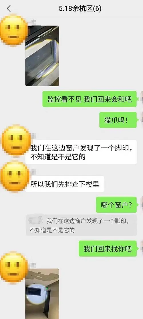 寻找一只猫一天至少走4万步！揭秘“宠物界的福尔摩斯”