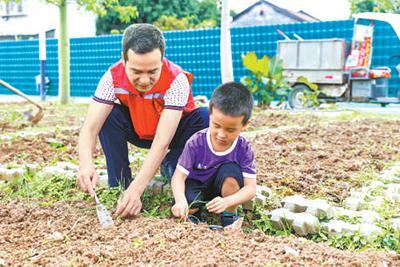 广东中山深化党建引领乡村绿化工作 一村一景 绿美惠民