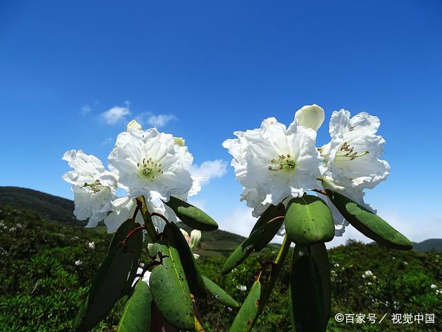 女人，到了五十岁，还要执意离婚，离不开以下真实的心理