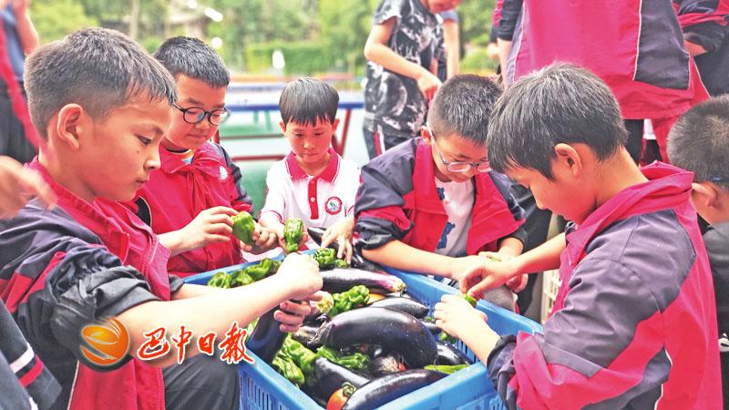 阅读筑基 科技为桥全面提升学生综合素质