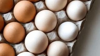 买鸡蛋，选红壳的还是白壳的？记住“3不买”，选购好鸡蛋简单多