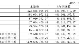 瑞贝卡2024年上半年净利润813.11万元 同比下降41.40%