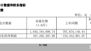 中原证券半年报：归母净利润1.67亿元 同比扭亏为盈