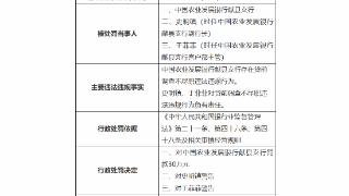 因贷前调查不尽职，农业发展银行献县支行被罚30万元