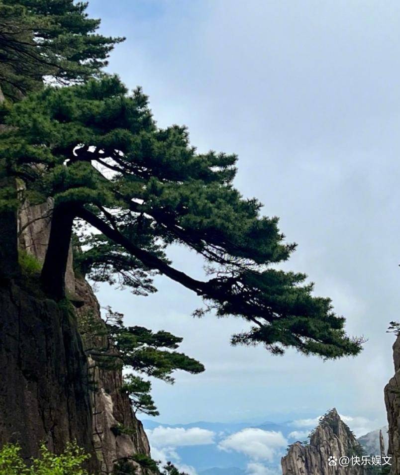 章子怡离婚后独自旅游！现身黄山寻找记忆，可惜她再也回不去了