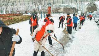 市政府办公室组织开展清雪除冰志愿服务活动