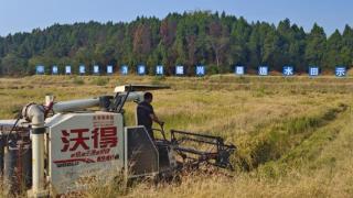 资阳垦造水田项目迎来建成后第一次丰收