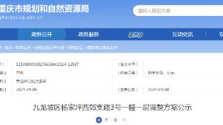 重庆市九龙坡区杨家坪西郊支路3号一幢一层调整方案公示