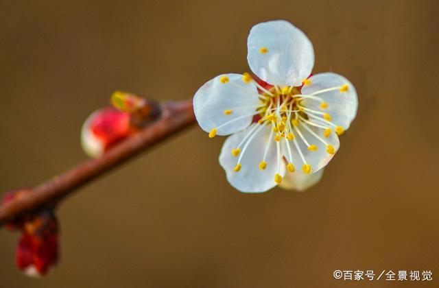 当一个女人“不争”，请不要小瞧她，多半很厉害