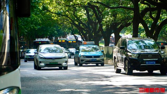 高温橙色预警，长沙的暑期“旅游热”更甚