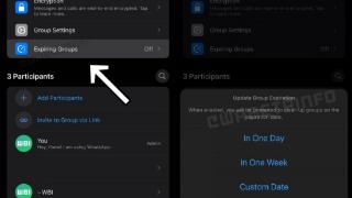 WhatsApp 正在打造可自动解散群聊