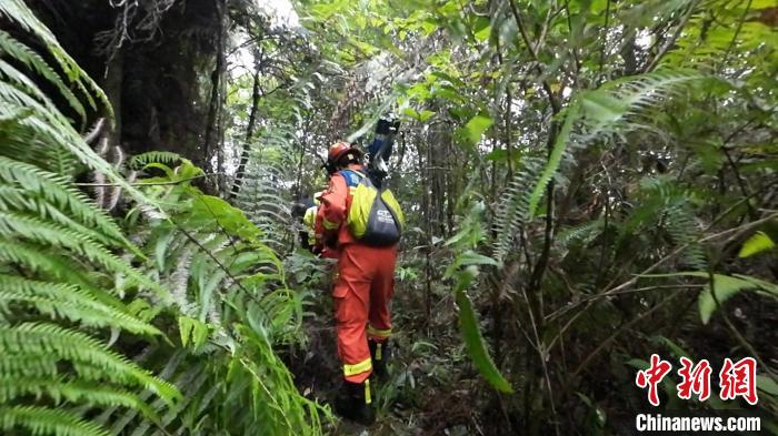 海南吊罗山调查队员雨林失联4天 消防联合多部门成功搜救