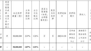 华林证券：控股股东立业集团累计质押7.04亿股