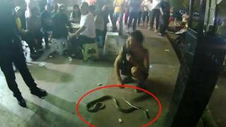 慎点！云南一男子酒后在街头遛蛇，被行拘5日