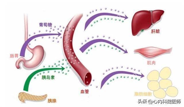 医生提醒：高血压的朋友，晚上牢记两不做两不吃！