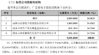 丽水国资拍卖晶圆厂股权 广芯微或成民德电子控股子公司