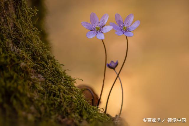 出现这三种信号，意味着你的苦日子要来临了，别掉以轻心