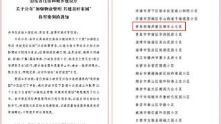 喜报！青岛柳东山小区成功获评省级“加强物业管理 共建美好家园”典型案例