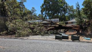暴雨引发山洪 澳大利亚珀斯约2.7万户家庭断电