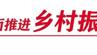 贝贝南瓜成农民增收“小金瓜”