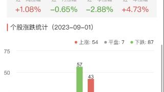 碳中和板块跌0.65% 杭州园林涨19.98%居首