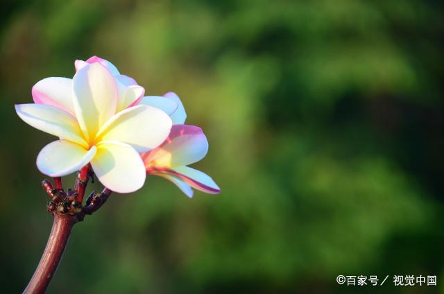 父母再有钱，养出两种儿女，家庭早晚会衰败