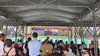 广州市农机安全生产月咨询日活动走进番禺区化龙镇