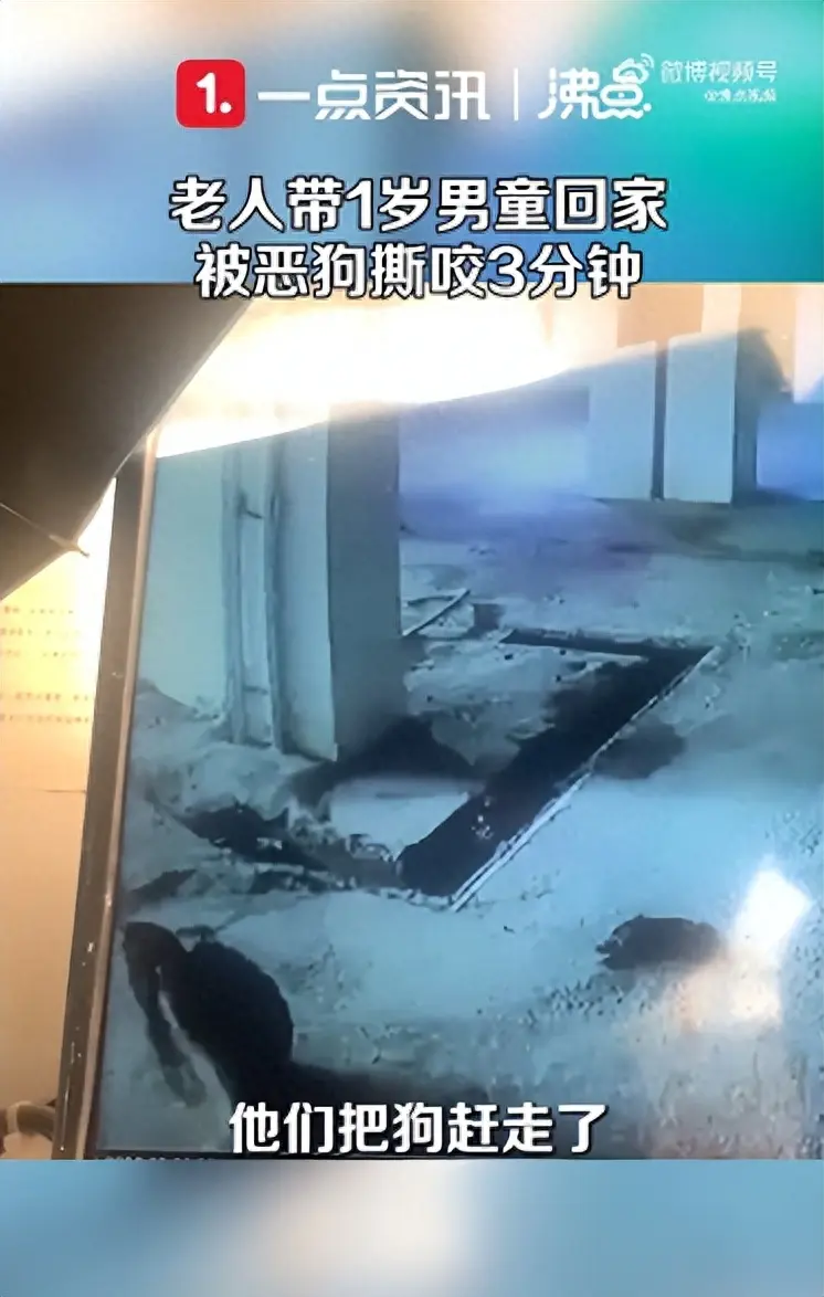 又一起！贵州一老人带1岁男童回家被恶犬撕咬3分钟，男童妈妈：老人抢救4小时恐残疾，孩子全身是牙印和抓痕