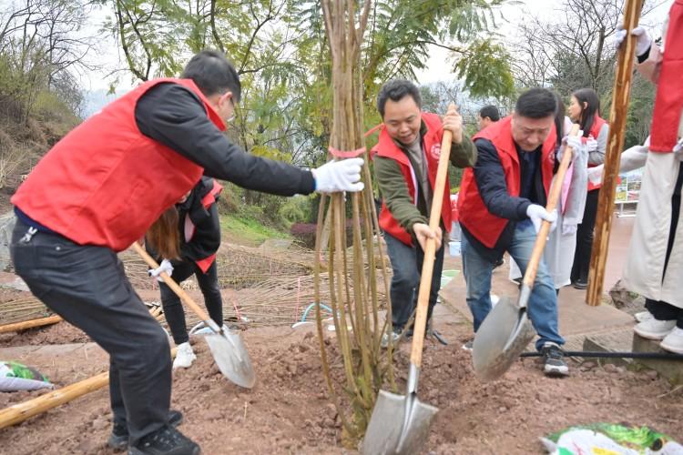 为城市添绿增彩！江北区开展2024年春季义务植树活动