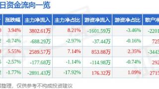 康强电子（002119）12月20日主力资金净买入3802.61万元