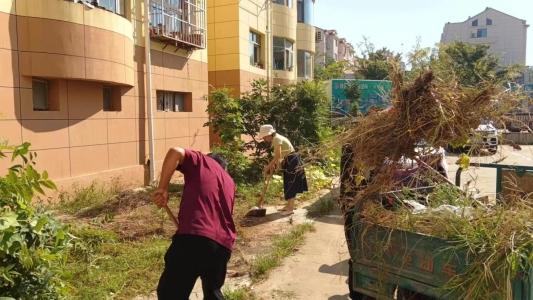 城市更新在行动丨莱西市水集街道：轻触指尖“随手拍” 城市管理我做主