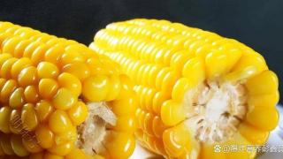 甜玉米、糯玉米哪种更适合糖尿病人群吃？科普小知识