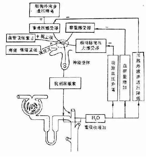 叶舒华被问到Cube是什么？舒华：还剩两年合约的东家罢了