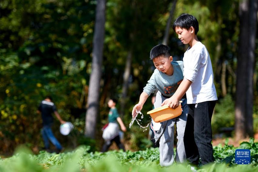 湖北黄梅：劳动教育助力学生健康成长